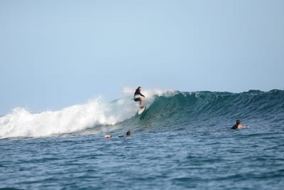 DSC_1166.JPG