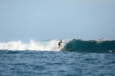 DSC_1176.JPG