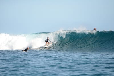 DSC_1177.JPG