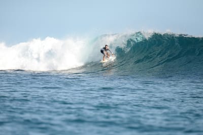 DSC_1179.JPG