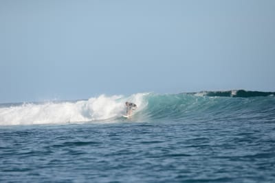 DSC_1190.JPG