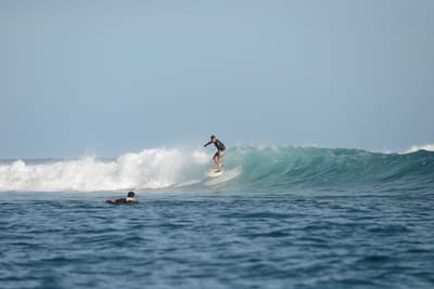 DSC_1193.JPG