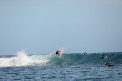 DSC_1194.JPG
