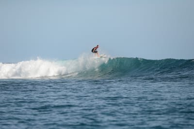 DSC_1195.JPG