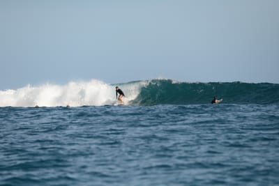 DSC_1200.JPG