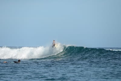DSC_1216.JPG