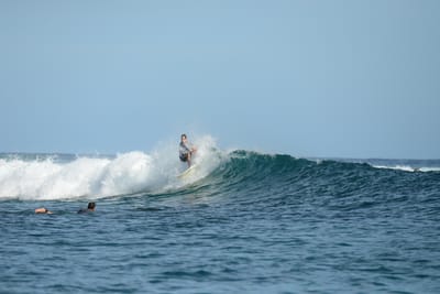 DSC_1217.JPG