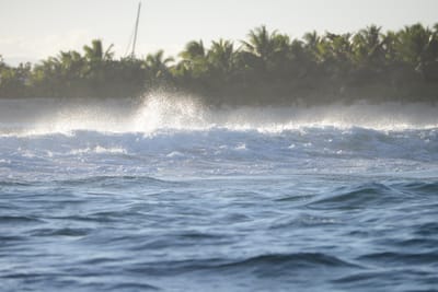 DSC_0922.JPG