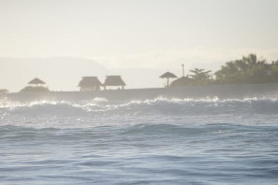 DSC_0924.JPG