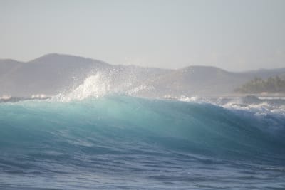 DSC_0925.JPG