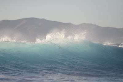 DSC_0926.JPG