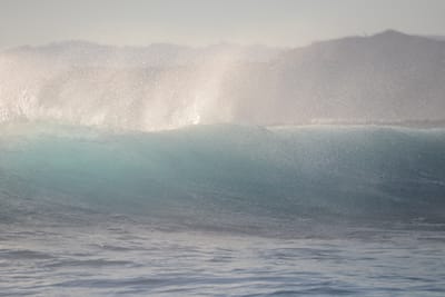 DSC_0927.JPG