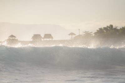 DSC_0929.JPG