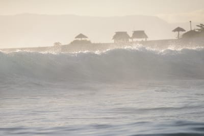 DSC_0930.JPG