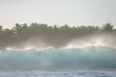 DSC_0935.JPG