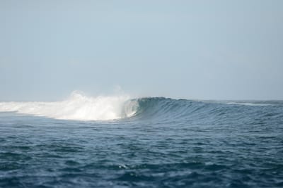 DSC_0958.JPG