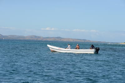 DSC_1101.JPG