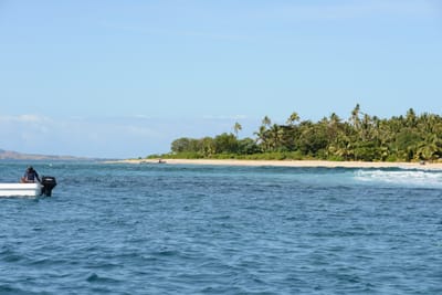 DSC_1102.JPG