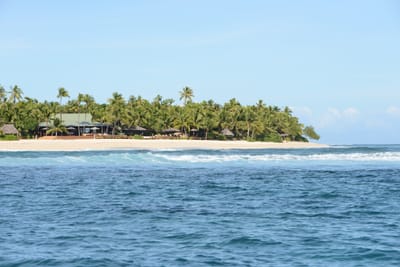 DSC_1105.JPG