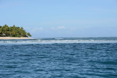 DSC_1106.JPG