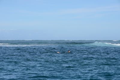 DSC_1107.JPG