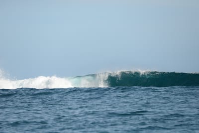 DSC_1175.JPG