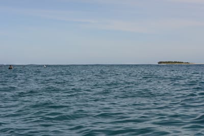 DSC_1223.JPG