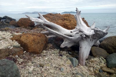 eDSC03940.jpg