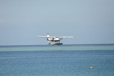 DSC_0174.JPG