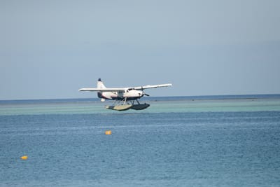DSC_0175.JPG