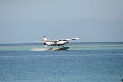 DSC_0176.JPG