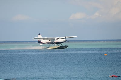 DSC_0177.JPG