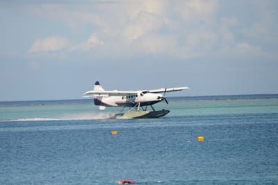DSC_0178.JPG