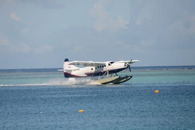 DSC_0179.JPG