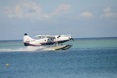 DSC_0180.JPG