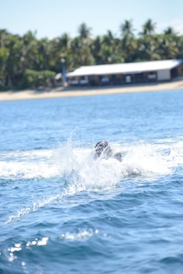 DSC_9951.JPG