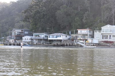 DSC_1300.JPG
