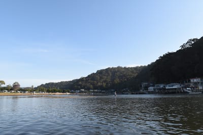 DSC_1301.JPG