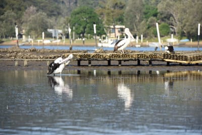 DSC_1306.JPG