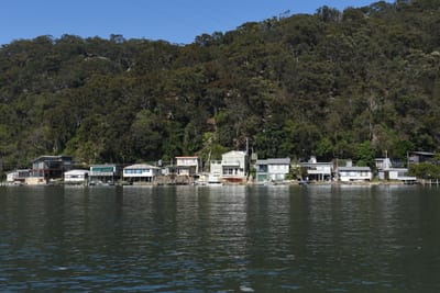 DSC_1460.JPG