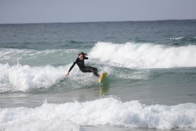 DSC_8614.JPG