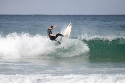 DSC_8624.JPG