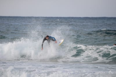 DSC_8630.JPG