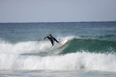DSC_8639.JPG