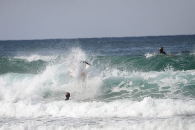 DSC_8642.JPG