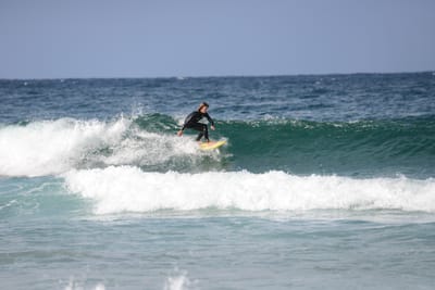 DSC_8665.JPG