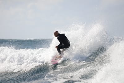DSC_8733.JPG