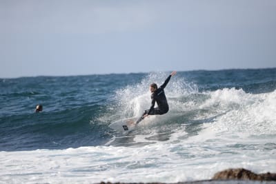 DSC_8754.JPG