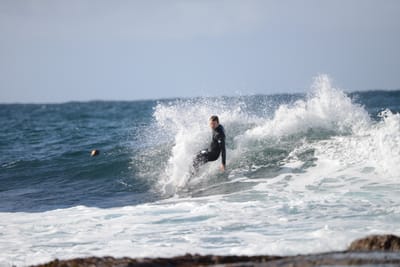 DSC_8755.JPG