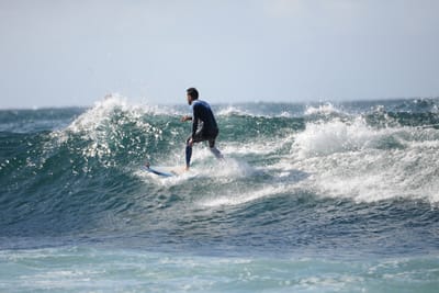 DSC_8766.JPG